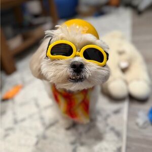 Meet your Posher, Sue